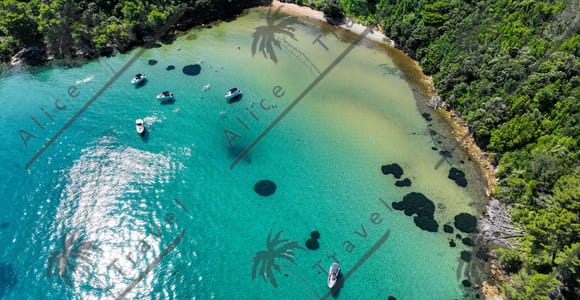 Zadar: 3-Insel-Schnellboot-Tour mit Gin & Tonic und Wein Zadar: 3-Insel-Schnellboot-Tour mit Gin & Tonic und Wein