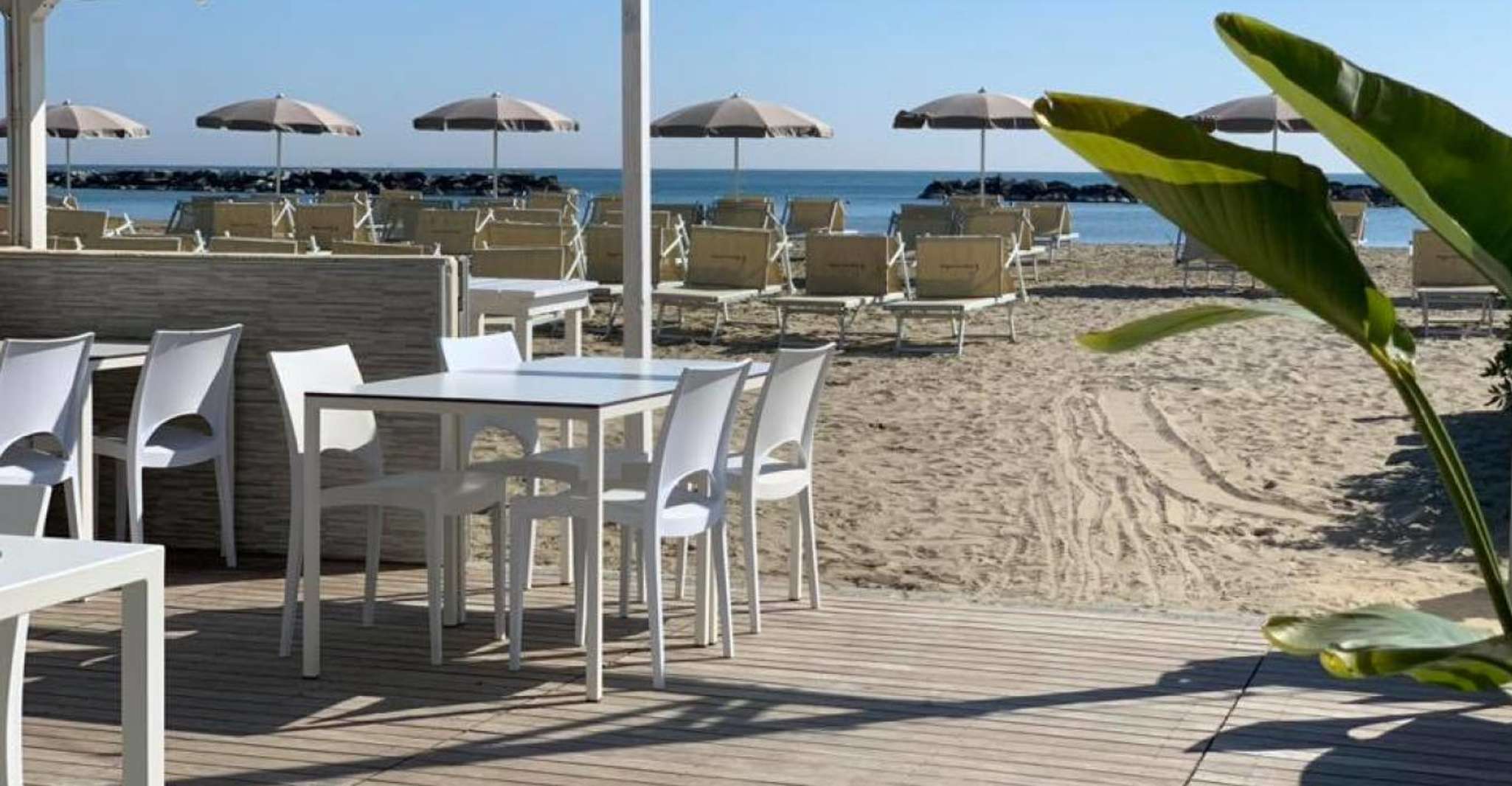 Lido di Savio Beach club Day with pool - Housity