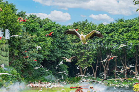 Guangzhou: Chimelong Safari Park Entry with Private Transfer Shenzhen | Private Transfer + Chimelong Safari Park Ticket
