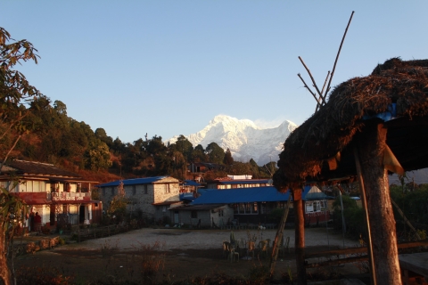 From Pokhara: Day Hiking Australian Camp & Dhampus