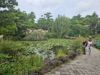 Isla de Jeju, más destacado Tour con boletos de atracción y almuerzo - Housity