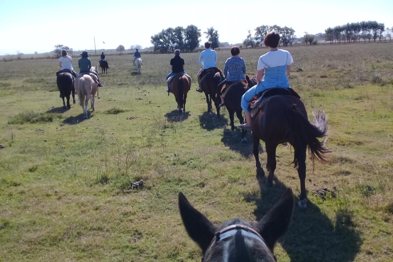 De Buenos Aires: Gaucho et Ranch à San Antonio de Areco