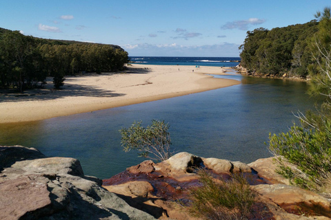 Sydney: Royal National Park tour with picnic RNP Private Tour