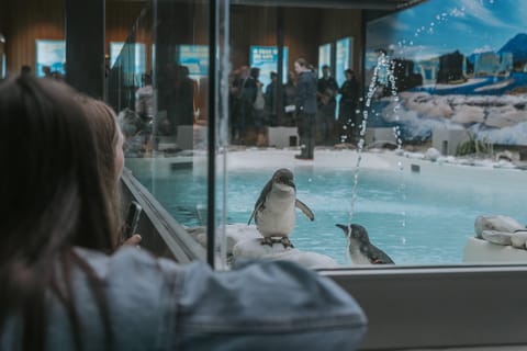 Franz Josef: West Coast Wildlife Centre Entry Ticket – 48 hrs - Image 2