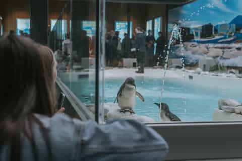 Franz Josef: West Coast Wildlife Centre Entry Ticket – 48 hrs - Image 3