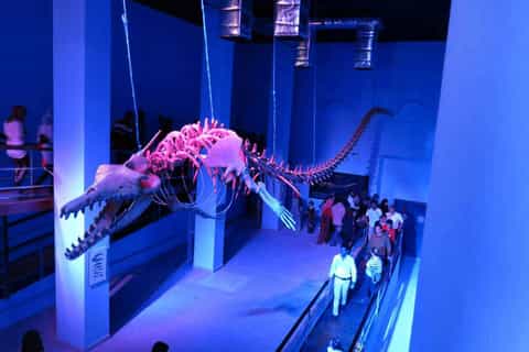 Hurghada Grand Aquarium: Eintrittsticket & Tour
