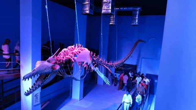 hurghada grand aquarium entry ticket and tour