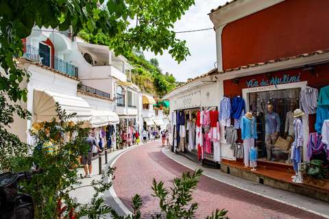 From Sorrento: Capri Land and Sea Small Group Tour