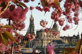 Privater Rundgang durch das historische Dresden auf Englisch