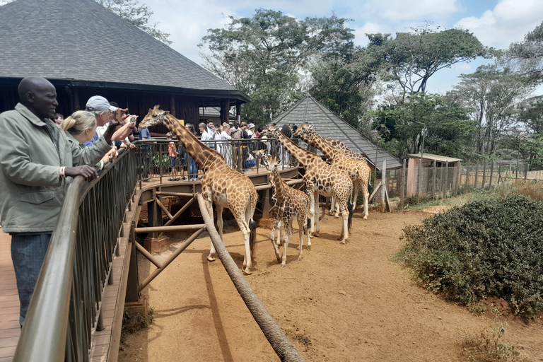 Giraffe, Elephant orphanage&amp; Bomas of Kenya Day Tour