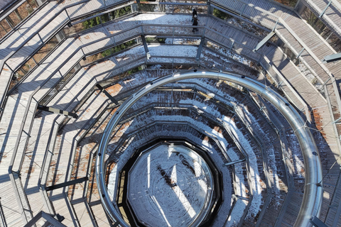 From Vienna: Hallstatt and Treetop Path Private Day Trip