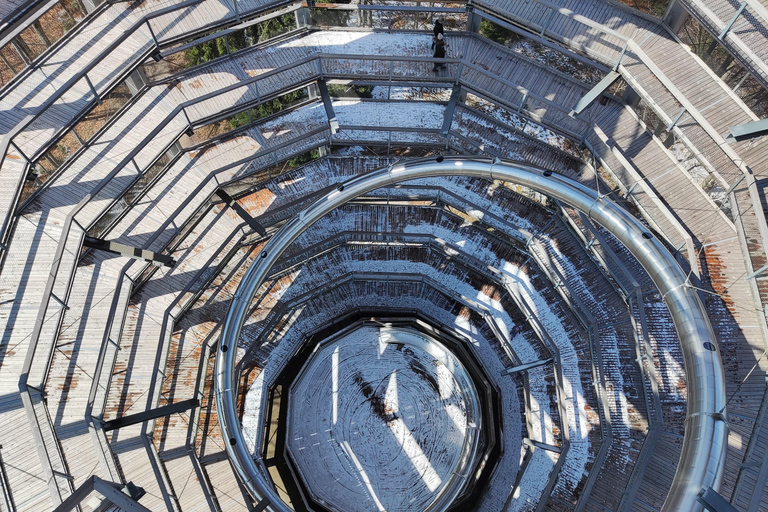 From Vienna: Hallstatt and Treetop Path Private Day Trip