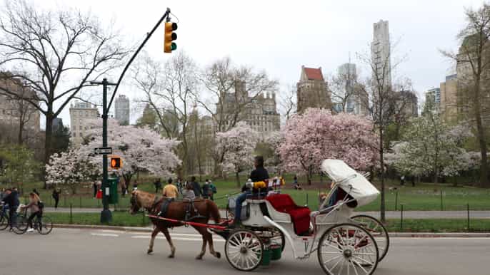 new york city horse carriage ride through central park