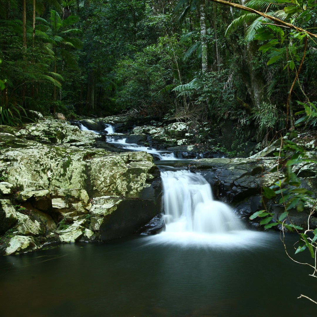 Colagem de mídia
