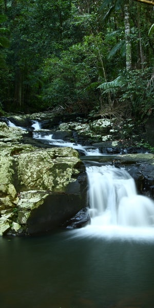 Byron Bay Hinterland Magic And Glow Worm Experience Getyourguide