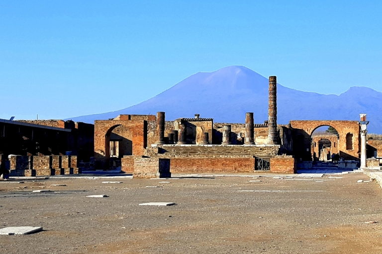 Au départ de Naples : Visite privée du Vésuve, d'Herculanum et de PompéiDe 4 à 8 personnes