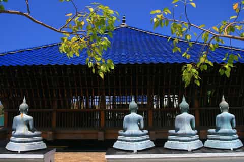 Colombo: Half-Day City Tour