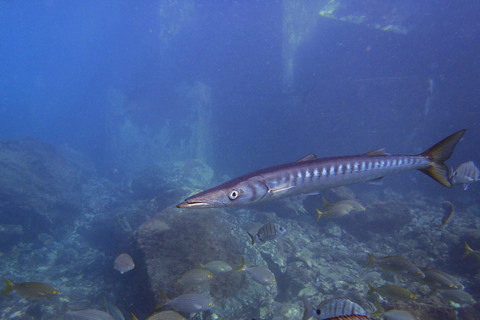 Gran Canaria: 3-Day Open Water Diver Course