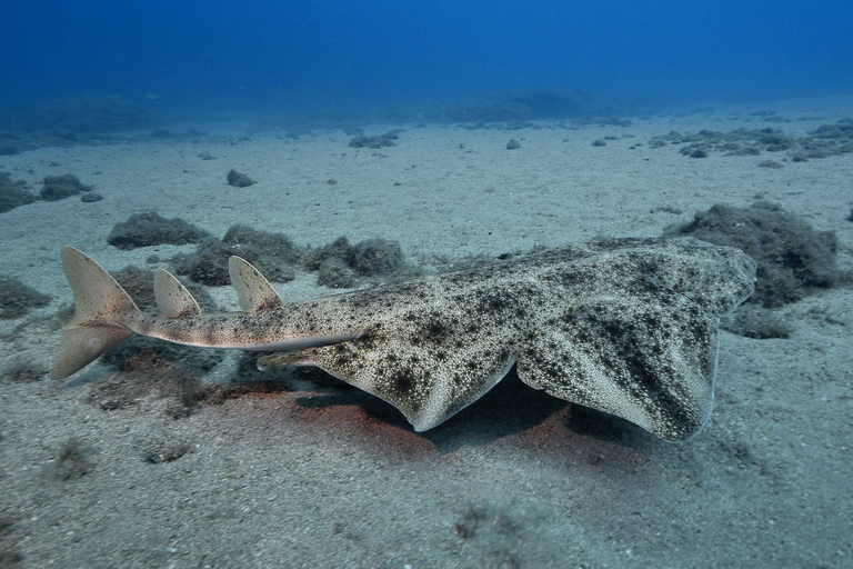 Gran Canaria: 3-Day Open Water Diver Course