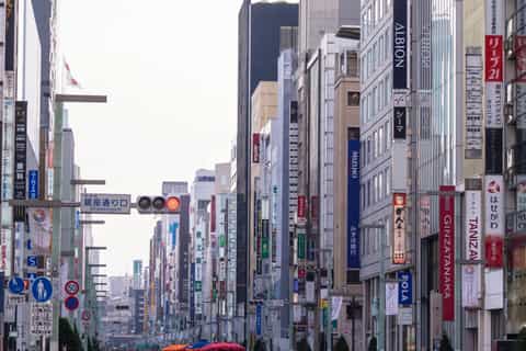 Tokio: 1-tägige personalisierte Einkaufstour mit Fahrer