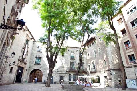 Barcelona: 2-stündiger Rundgang Altstadt & Gotisches ViertelAltstadt und Gotisches Viertel: Privater Rundgang