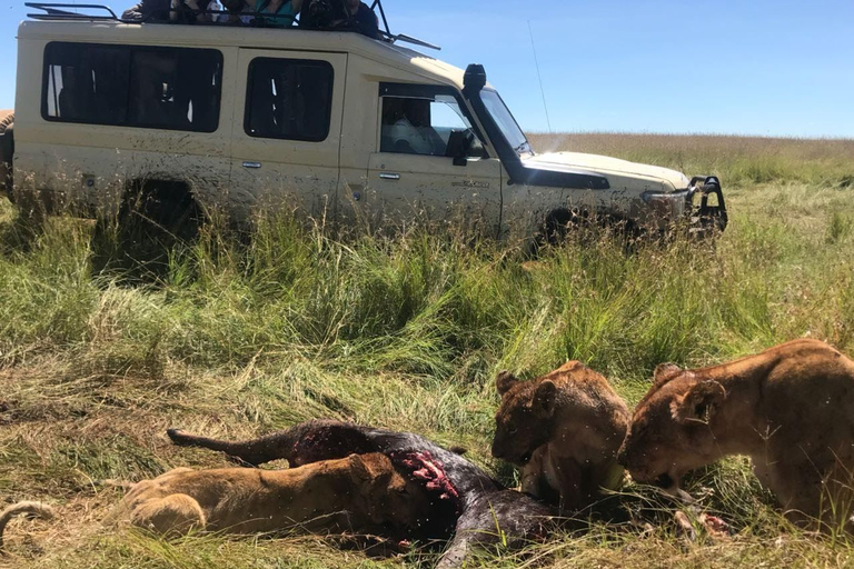 Desde Arusha: cráter del Ngorongoro con recorrido por la naturaleza y almuerzo