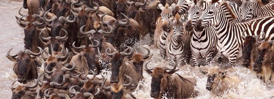 Depuis Nairobi : safari de 7 jours à Masai Mara, Nakuru et Amboseli