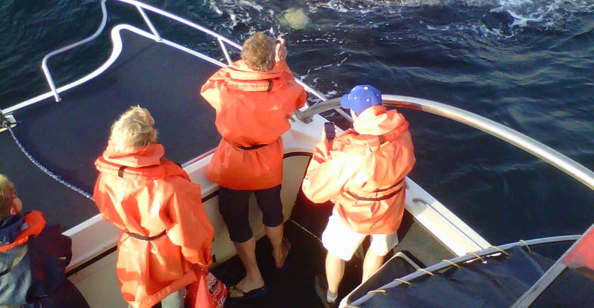 St Lucia: Whale Watching Tour in KwaZulu-Natal