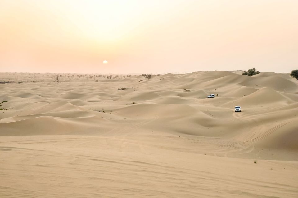 Doha Qatar: Excursão c/ Safári, Camelo, Sandboard e Mar Interior (AVENTURA)