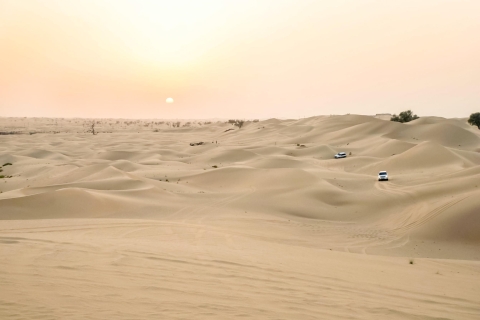 Doha: 5-Hour Safari, Camel Ride, Sandboarding & Inland Sea Doha Desert Safari : Camel Ride, Sandboarding & Inland Sea