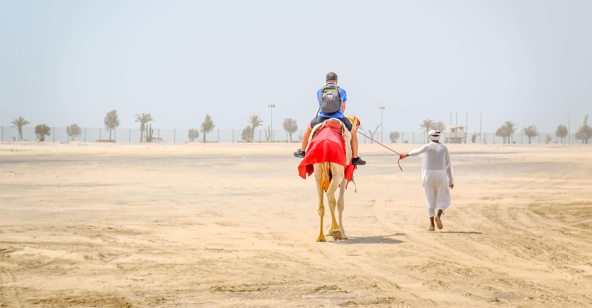 Doha: Half-Day Desert Safari, Quad Bike, Camels & Inland Sea photo 11