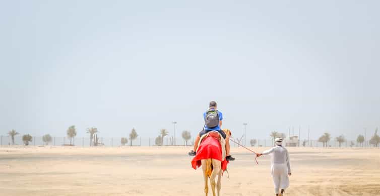 Doha: Half-Day Desert Safari, Quad Bike, Camels & Inland Sea photo 11