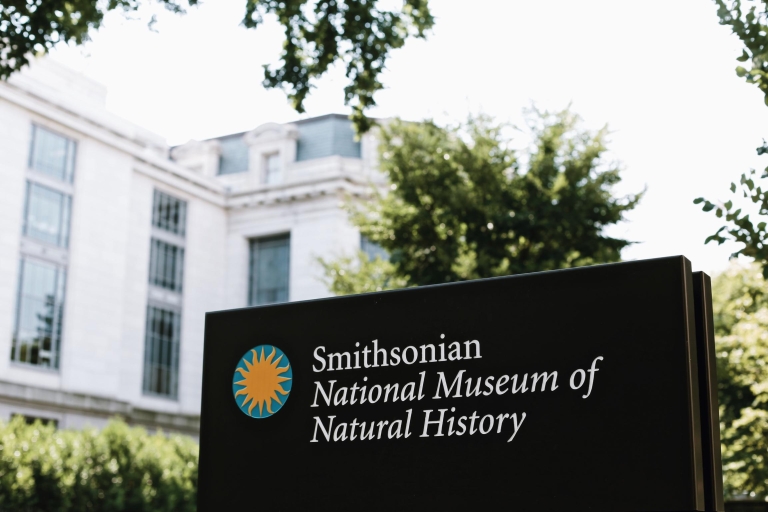 Nationaal Museum van Natuurlijke Historie Tour met gidsNationaal museum voor natuurgeschiedenis Privérondleiding in het Engels