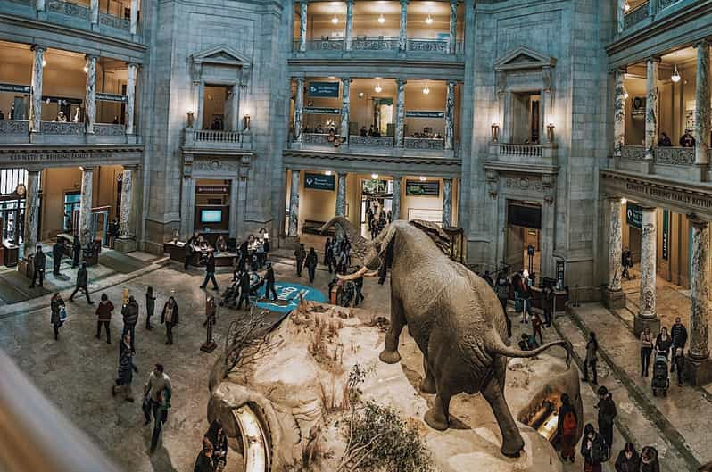 National Museum Of Natural History Guided Tour Getyourguide