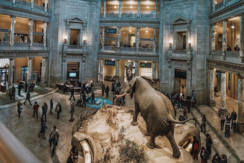 Tour guiado por el Museo Nacional de Historia NaturalTour semiprivado: Museo Nacional de Historia Natural, inglés