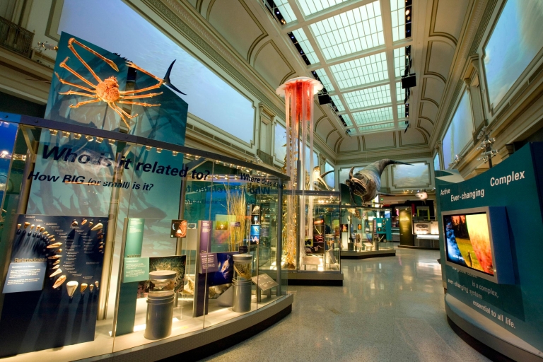 National Museum of Natural History Guided Tour National Museum of Natural History Semi-Private Tour English