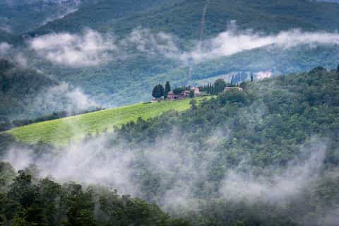 Chianti: Total Immersion Wine Tour with Picnic Lunch