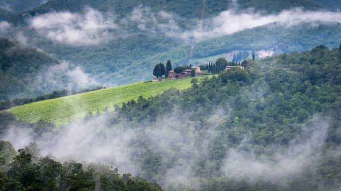 chianti intensive weintour mit picknick mittagessen