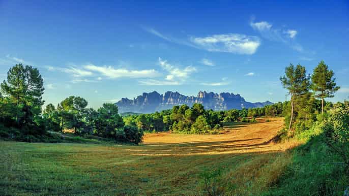 montserrat cava wineries day trip from barcelona w/ pickup