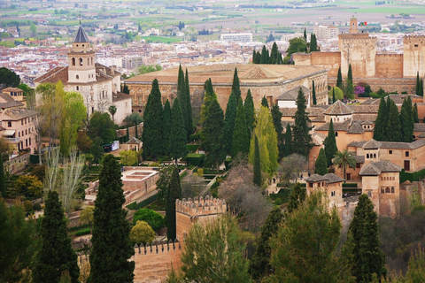 Granada: kleine rondleiding door Alhambra en Nasrid-paleizenPrivé rondleiding