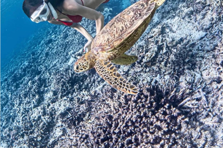 Bali: Snorkeling Blue Lagoon & Tanjung Jepun All-Inclusive Blue lagoon & Tanjung Jepun Snorkeling All-inclusive