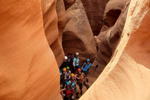 From Moab or Hanksville: North Wash Slot Canyon Experience Irish Canyons and North Wash Slot Canyons Tour from Moab