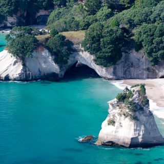 From Auckland: Small Group Coromandel Peninsula Day Tour