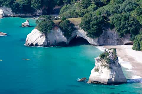 From Auckland: Small Group Coromandel Peninsula Day Tour