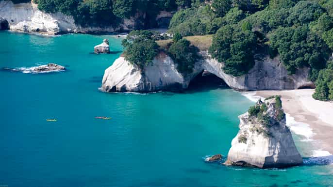 from auckland small group coromandel peninsula day tour