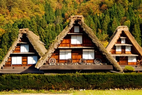 Day Trip from Osaka/Kyoto to Takayama & Shirakawa-go - Image 2