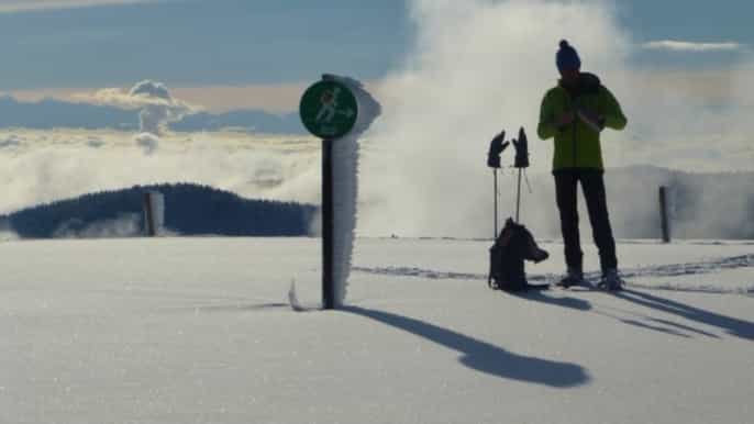 feldberg 4.5hour snowshoe hiking tour with lunch break