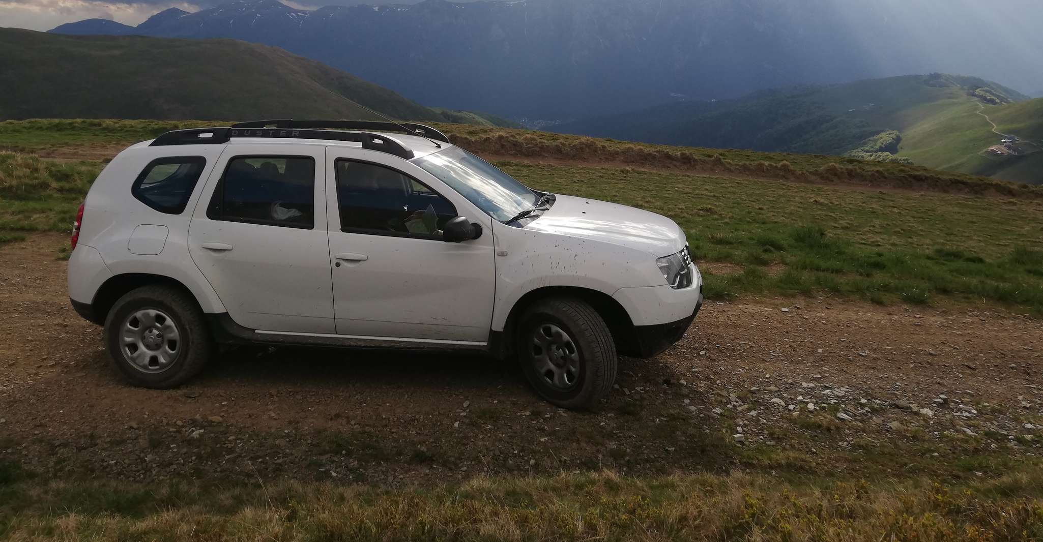 Brasov: Brown Bear & Wildlife Watching photo 9