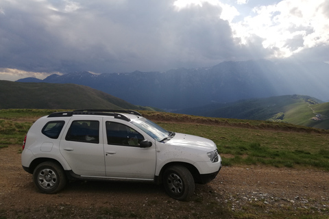 Brasov: Brown Bear & Wildlife Watching