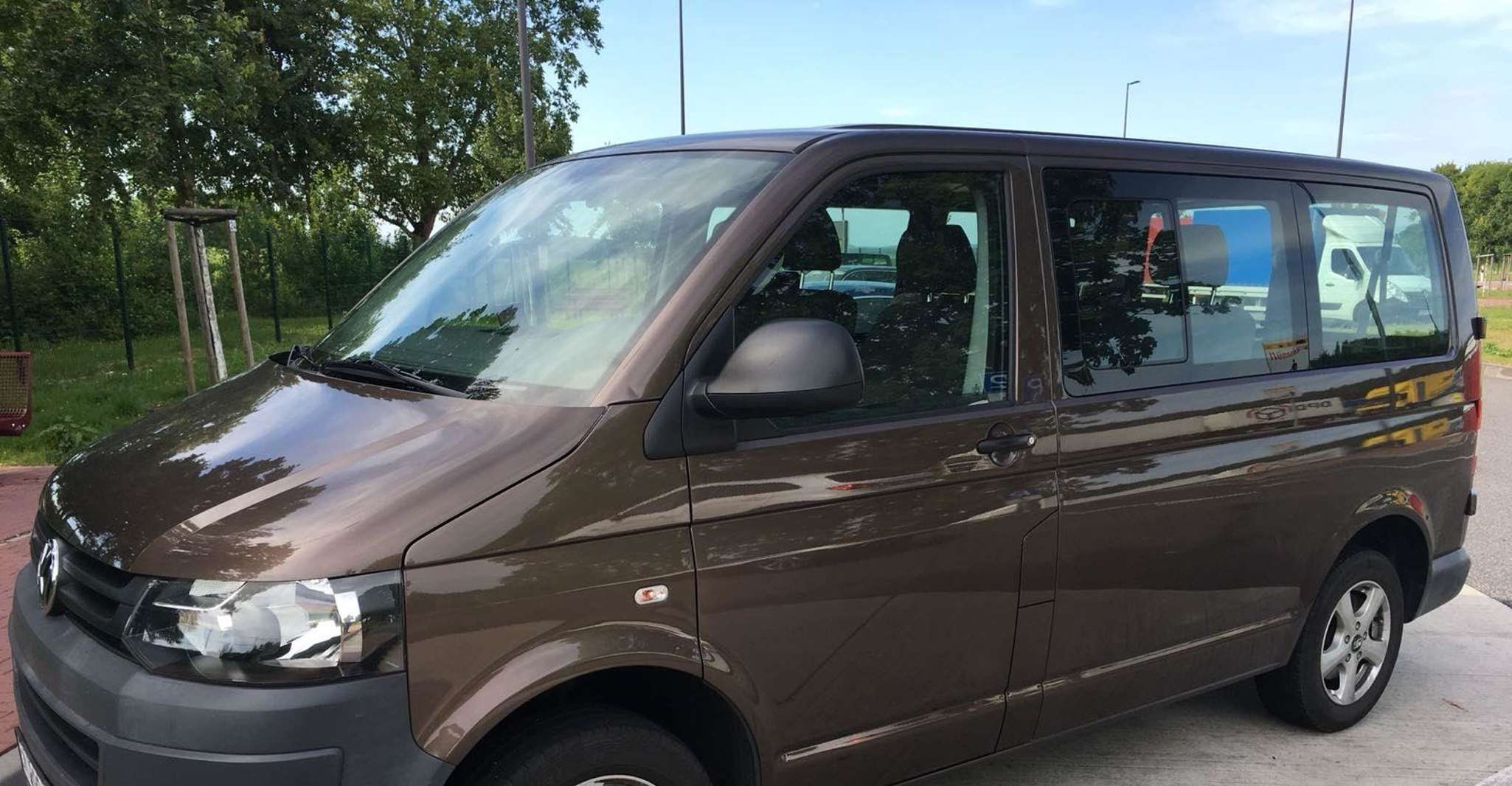 Brasov: Brown Bear & Wildlife Watching photo 10